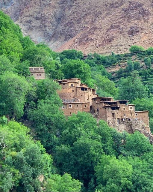 Agafay Desert & Atlas Mountain & Camel Ride Day Trip & Lunch - Who will enjoy this day most