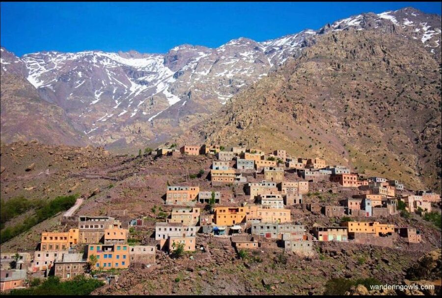 Agafay Desert & Atlas Mountain & Camel Ride Day Trip & Lunch - What the $24 price really delivers