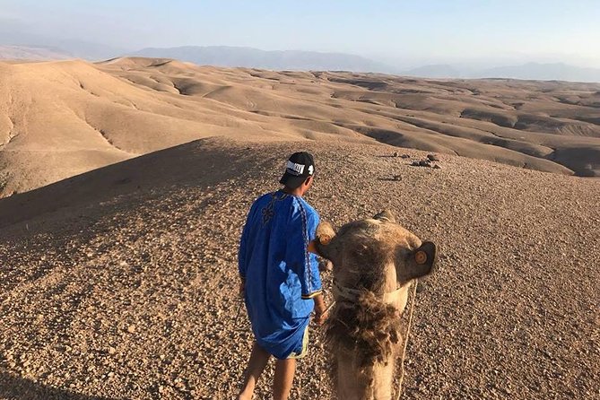 Agafay Desert & Atlas Mountains Day Trip from Marrakech - What the $91.82 price really covers