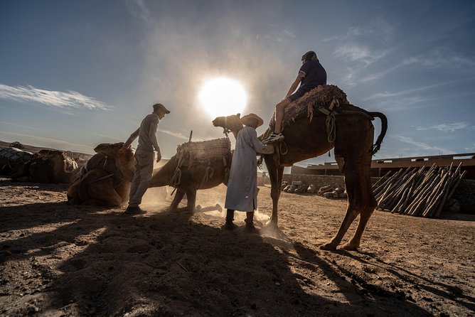Agafay Desert Camel Experience with snack from Marrakech - An Oasis Instead of a Crowded Roadside Start