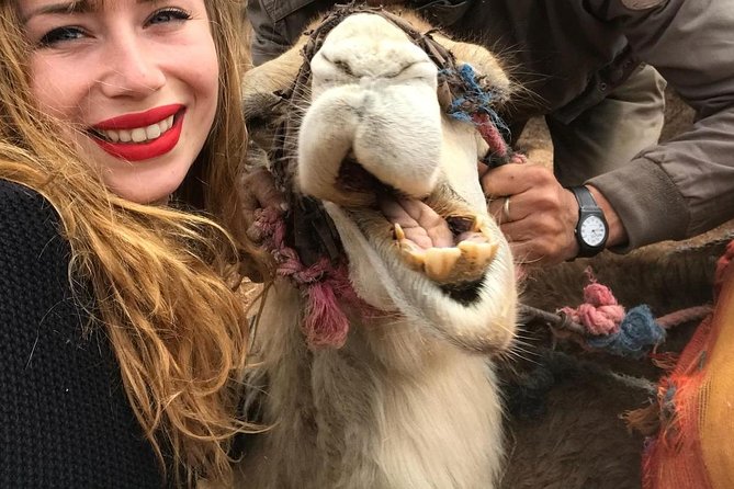 Agafay Desert: Camel ride, dinner and fire show - Leaving Marrakech at 3 p.m.