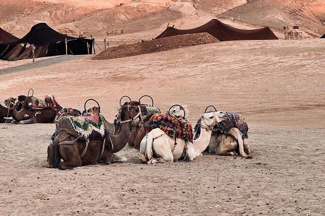 Agafay Desert Camel Ride With Dinner And Sunset Spectacle - Sunset over the dunes