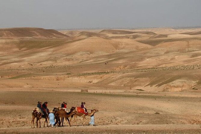 Agafay Desert Camel Ride With Dinner And Sunset Spectacle - Practical advice before you book