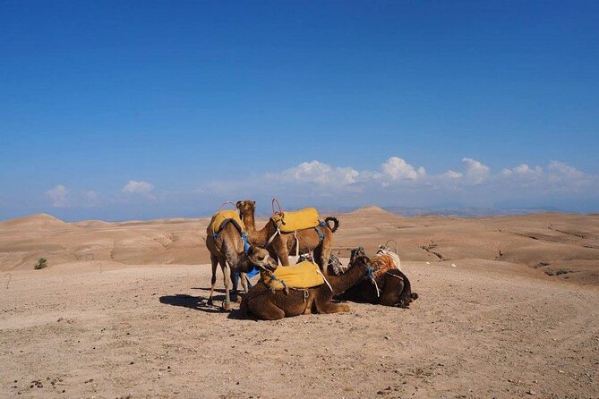 Agafay Desert Day Trip From Marrakech - Practical tips for a smoother evening
