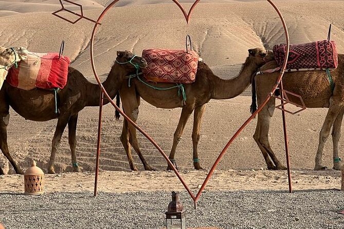 Agafay Desert : Dinner, show, Sunset & Access to the pool - Why Agafay works for a short Marrakech evening