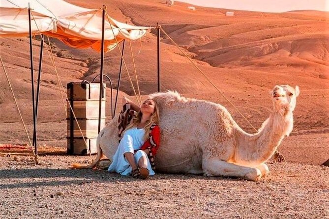 Agafay Desert: Dinner + Show with Quad Bike & Sunset Camel Ride - Agafay is a rocky desert, not the Sahara
