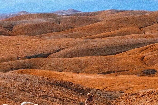 Agafay Desert: Dinner + Show with Quad Bike & Sunset Camel Ride - What the $35.28 price really buys