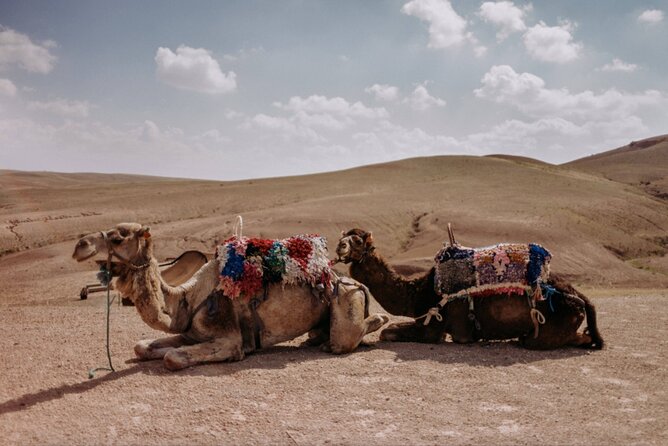 Agafay desert Family Package: Quad Bike & Camel Ride, Dinner Show - Dinner under a Berber tent