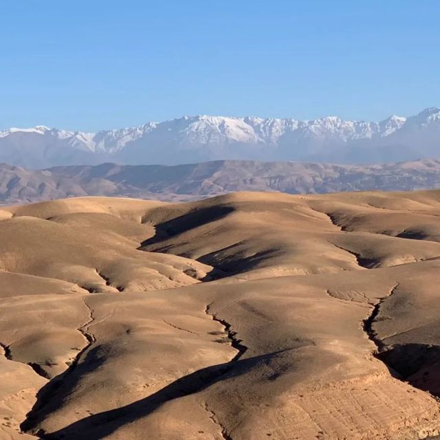 Agafay Desert: Magical Half-Day Lunch with Pool Swim - Transport, staff, and reliability