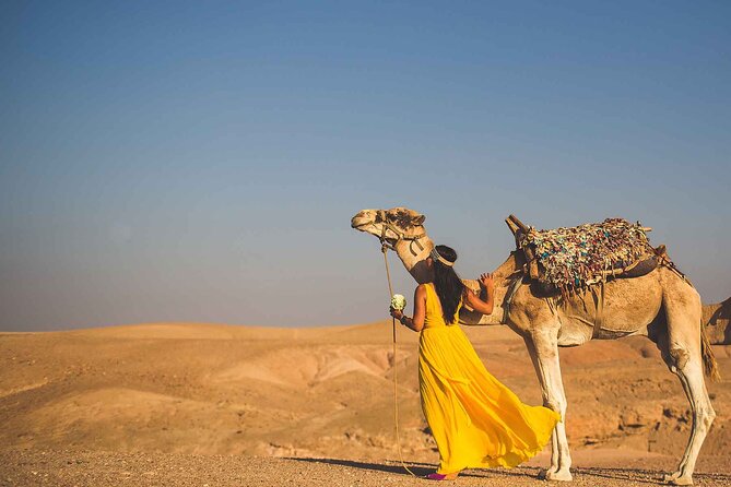 Agafay Desert Package, Quad Bike, Camel Ride and Dinner Show - A possible argan oil stop