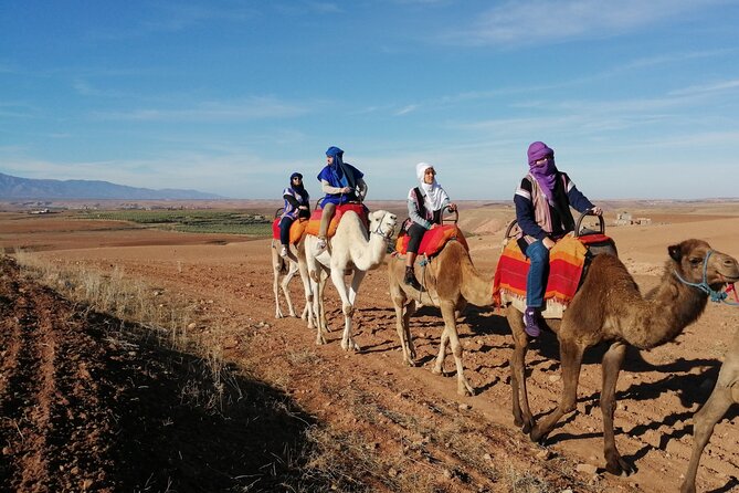 Agafay Desert Package: Quad, Camel Rides & Dinner Show or Lunch - The camel ride is brief but gives you the classic picture