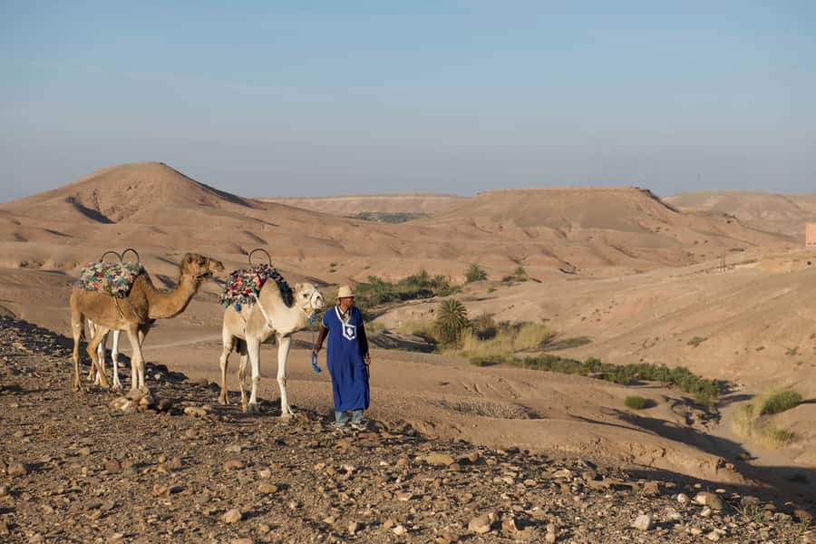 Agafay Desert: Quad Bike and Camel Ride Adventure Tour - Small groups, age rules, and practical comfort