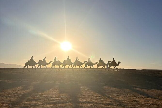 Agafay Desert: Quad Bike & Camel Ride & Magical Diner with Show - Guides, transport and the pace of the evening