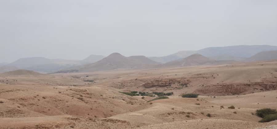 Agafay Desert: Quad Biking, Camel Ride, Lunch - Who should book this Agafay outing?