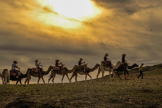 Agafay Desert - Quad camel and dinner show - Is $46.53 good value?