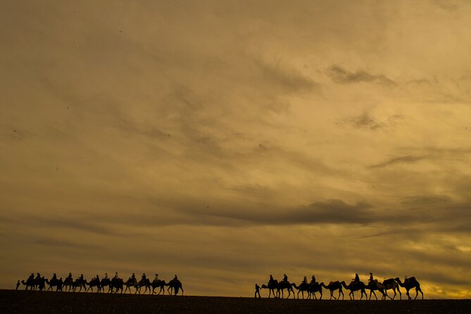 Agafay Desert - Quad camel and dinner show - Who will enjoy this evening most?