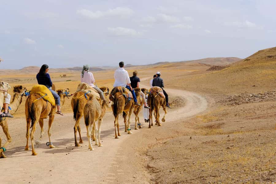Agafay Desert: Quad, Camel Ride & Luxury Lunch with Pool - Cooling Off at the Desert Pool