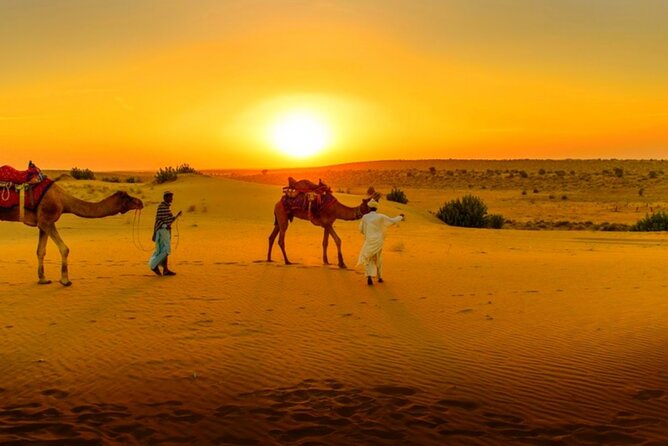Agafay Desert Sunset, Camel Ride and Dinner from Marrakech - What Agafay Desert Really Looks Like