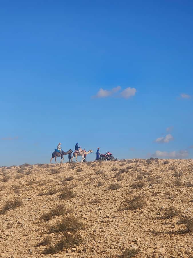 Agafay Desert Tour: Quad, Camel, Lunch & Pool Access - What the transport and guiding are like