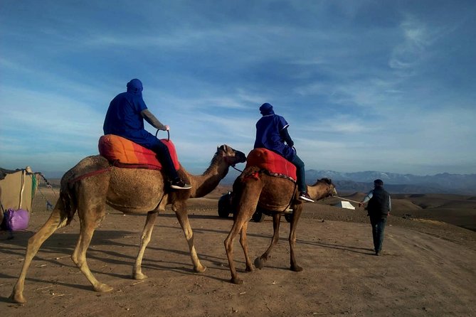 Agafay Half Day Rocky Desert Experience – Quad Bike & Camel Ride - Key Points Before You Book
