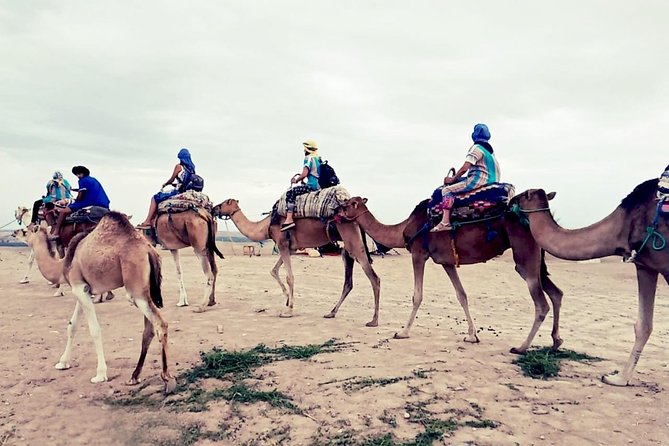 Agafay Half Day Rocky Desert Experience – Quad Bike & Camel Ride - Timing, Fitness, and Practical Clothing Advice