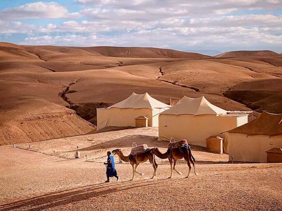 Agafay: Half-Day Rocky Desert Quad & Camel Ride with Lunch - Quad biking through Agafay