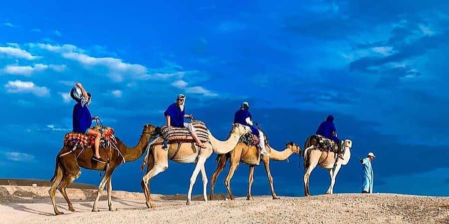 Agafay: Half-Day Rocky Desert Quad & Camel Ride with Lunch - Guides, drivers, and group comfort