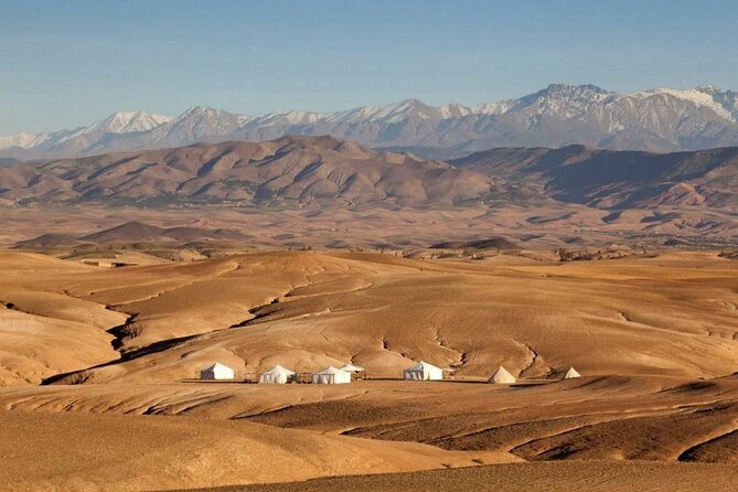 Agafay : Luxury Dinner in the Desert with Camels - The argan oil cooperative stop