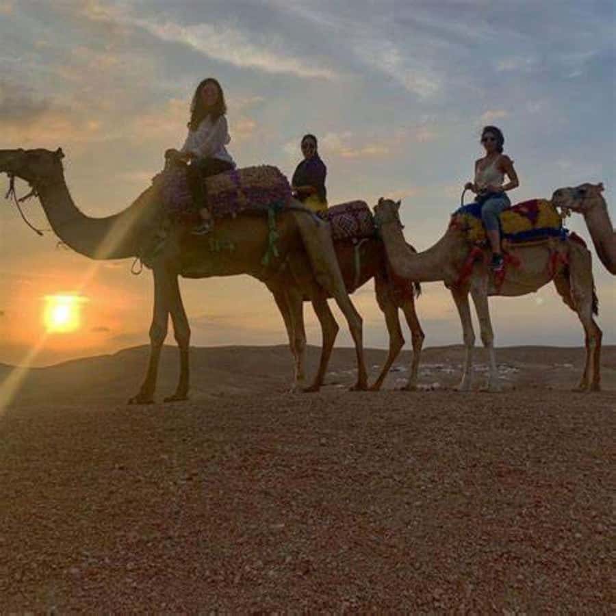 Agafay: Quad, Camel Ride & Dinner Show from Marrakech - Forty minutes on a shared quad bike