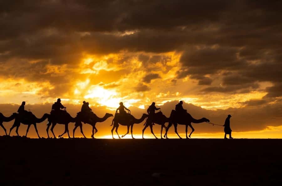 Agafay: Quad, Camel Ride & Dinner Show from Marrakech - Dinner under a Moroccan tent
