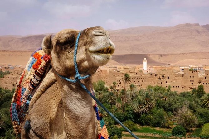 Ait ben haddou and Ouarzazate day trip - The shared minibus: good value, limited control