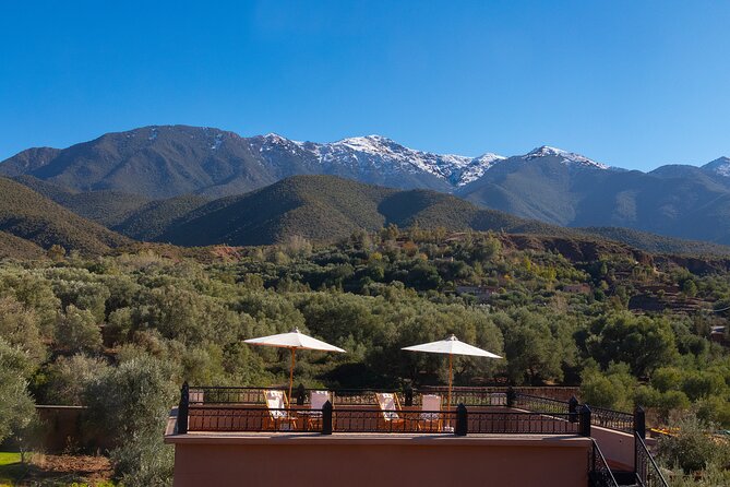 All in One - Special Day With the Berbers - Atlas Mountains - At a glance: what this day trip delivers