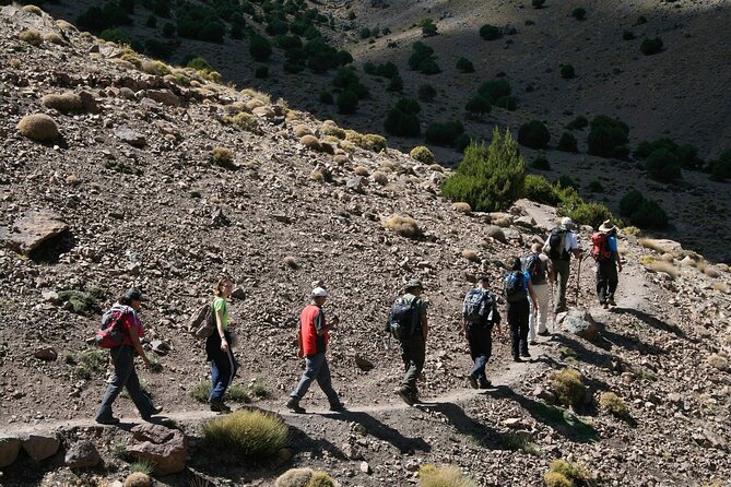 All in One - Special Day With the Berbers - Atlas Mountains - Asni and the weekly shopping rhythm