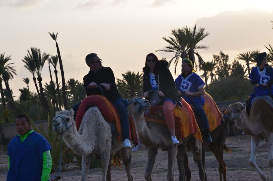 Around Marrakech: Camel Ride in Palm Groves including Tea - Who Will Enjoy This Marrakech Camel Ride?