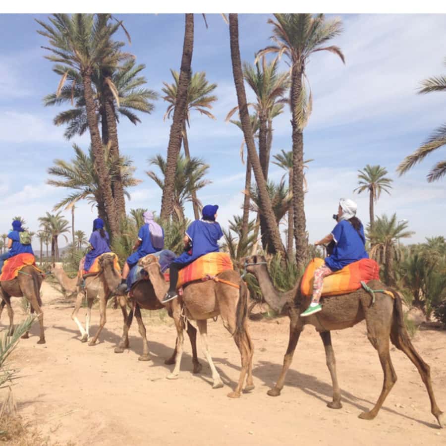 Around Marrakech: Camel Ride in Palm Groves including Tea - One Hour Through the Palm Groves