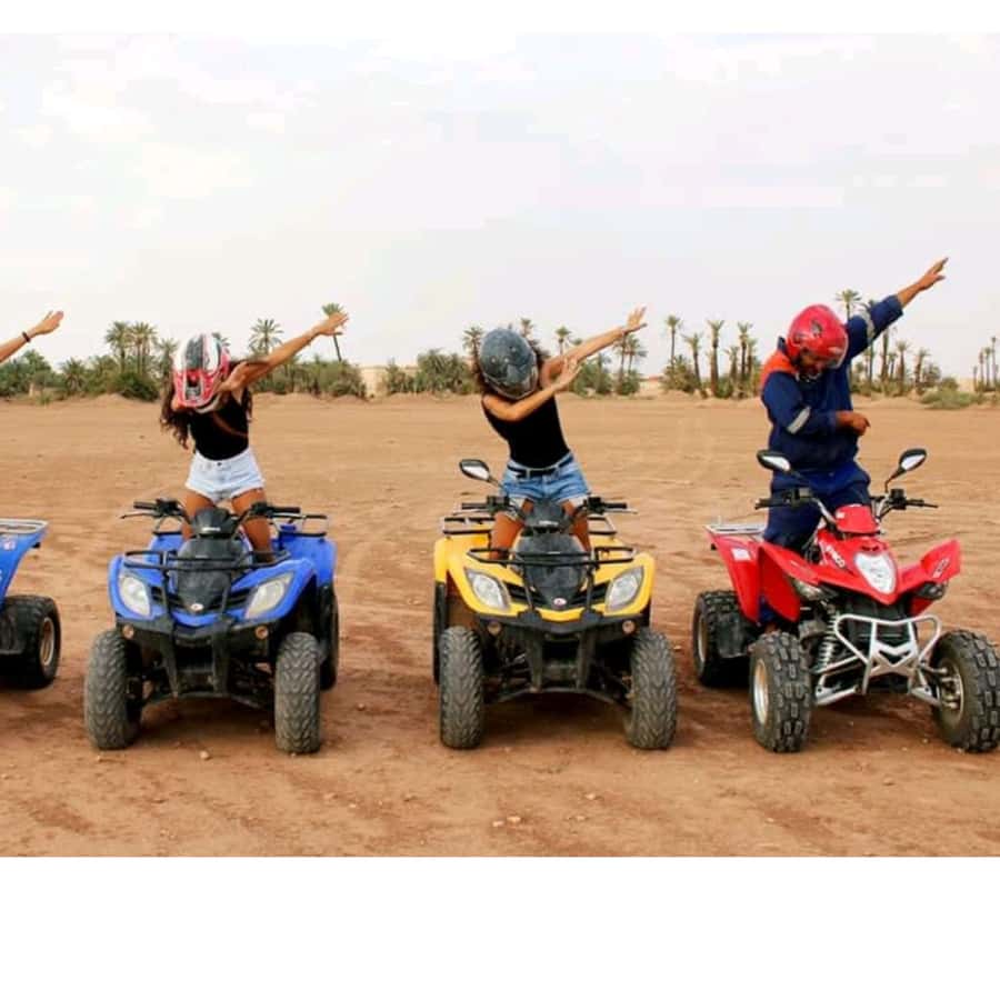 Around Marrakech: Camel Ride in Palm Groves including Tea - Meeting the Camels and Getting Ready