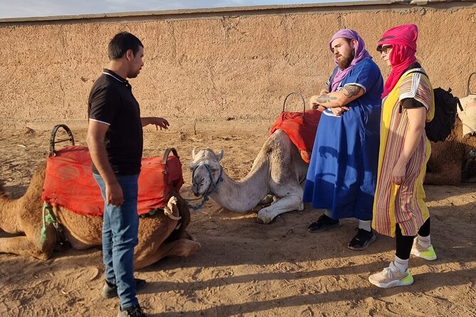 Atlas Bound: Marrakech's 5 Valleys Expedition - Why this Atlas Mountains day trip works