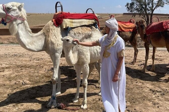 Atlas Bound: Marrakech's 5 Valleys Expedition - Imlil, the High Atlas base village