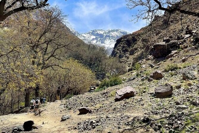 Atlas Bound: Marrakech's 5 Valleys Expedition - Berber lunch in Aroumd or Tamatert