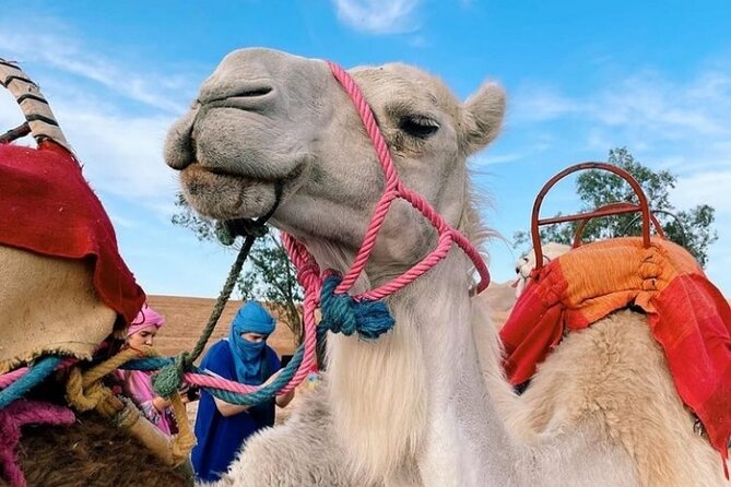 Atlas Bound: Marrakech's 5 Valleys Expedition - Asni and the Saturday market