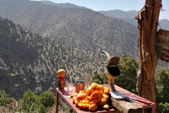 Atlas Mountain & Berber Villages and Waterfalls Day Trip from Marrakech - Tea with a local family