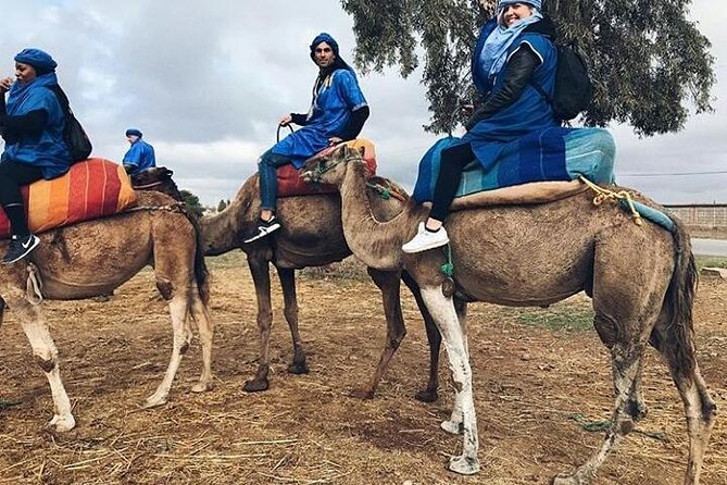 Atlas Mountain & Berber Villages and Waterfalls Day Trip from Marrakech - What the day feels like in practice