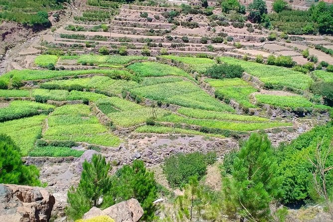 Atlas Mountain & Berber Villages and Waterfalls Day Trip from Marrakech - Is $34.89 good value?