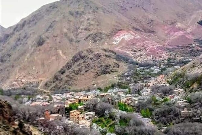 Atlas Mountain Day Trip - A Berber lunch at the guide’s family home