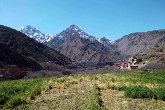 Atlas Mountain Day Trip - A second walk, camel ride, and return to Marrakech