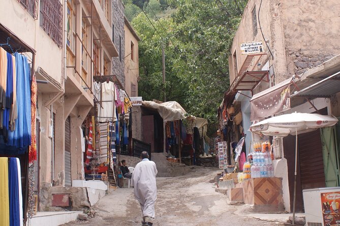 Atlas Mountain Full Day Tour with Three Valleys and Waterfalls - Walking around Imlil without pressure