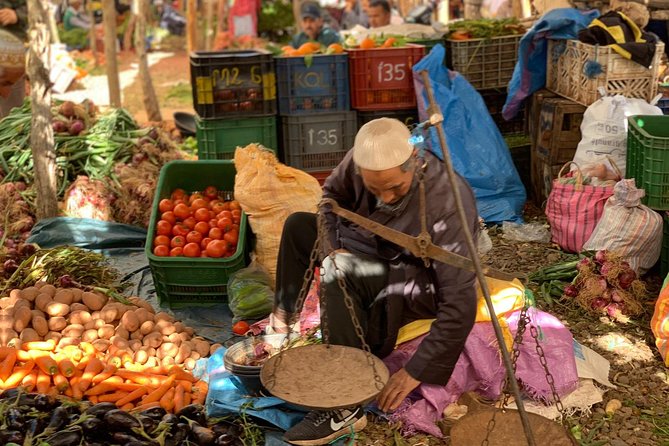 Atlas Mountain, home made lunch & camel ride in Agafay Desert - Key things to know before booking