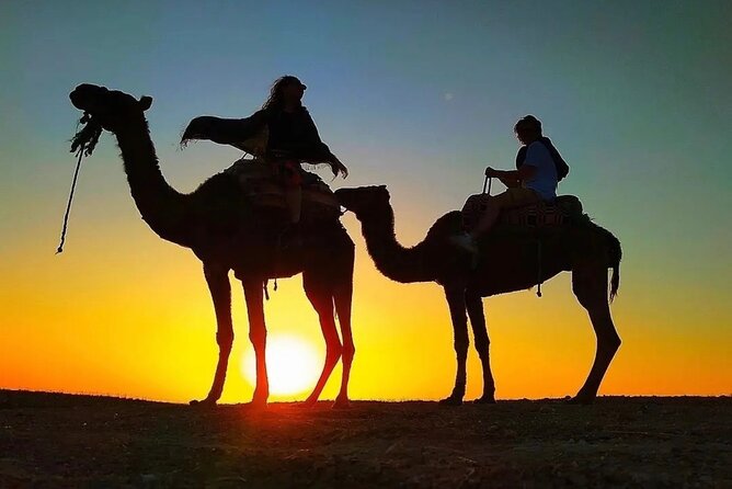 Atlas Mountain Imlil Waterfall & Berber Villages Camel Ride Trip - Key points to know before booking