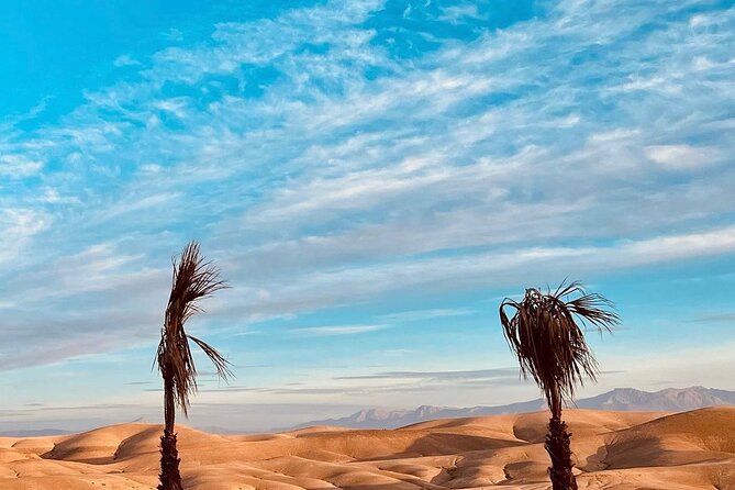 Atlas Mountain Imlil Waterfall & Berber Villages Camel Ride Trip - Music, fire shows, and the value of the atmosphere