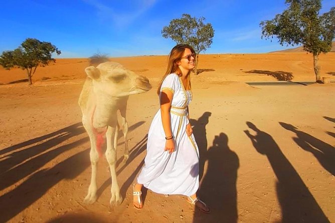 Atlas Mountains, 3 Valleys & Agafay Desert from Marrakech-DayTour - The walk to the waterfalls near Imlil